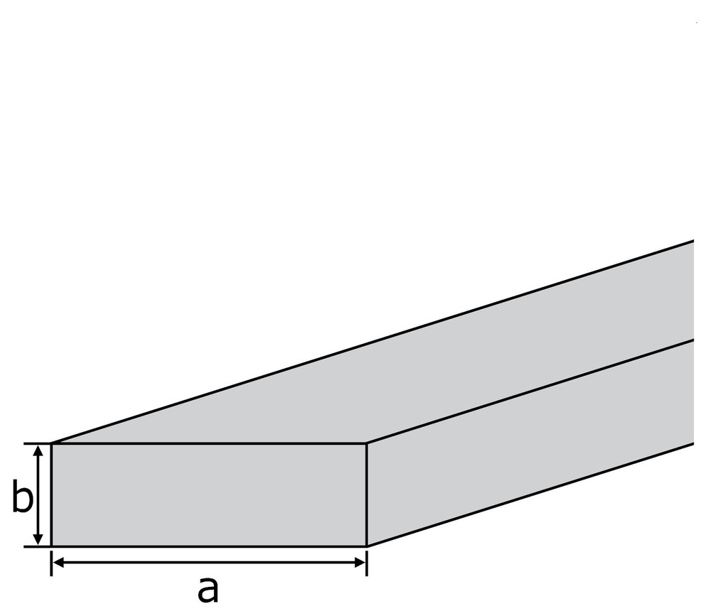 Plat alu 100x10 mm 