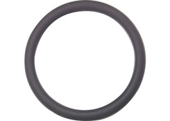 +GF+  O-Ring f. Verschraubung  d= 10 mm  748.410.004 EPDM